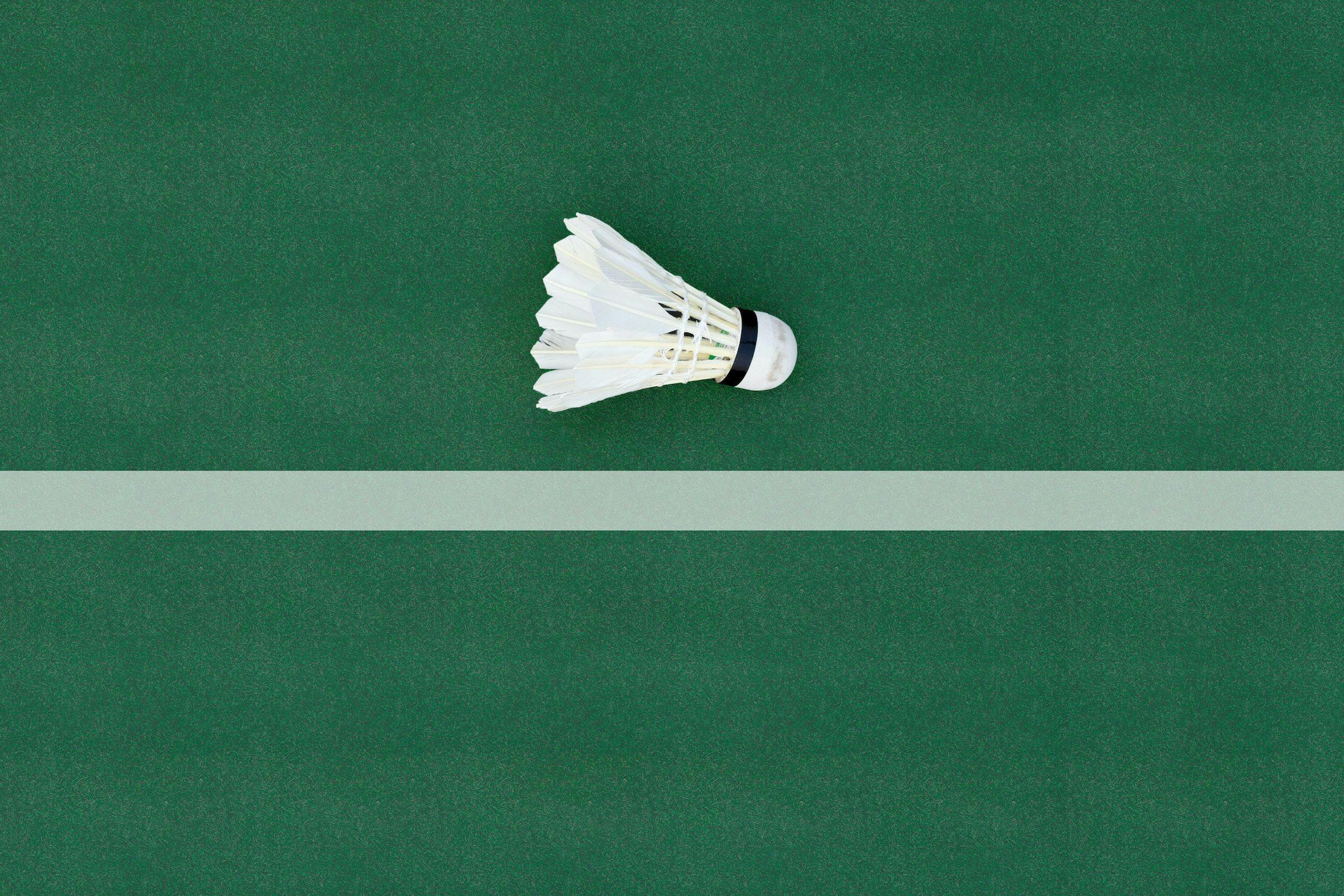 A badminton shuttlecock on the ground